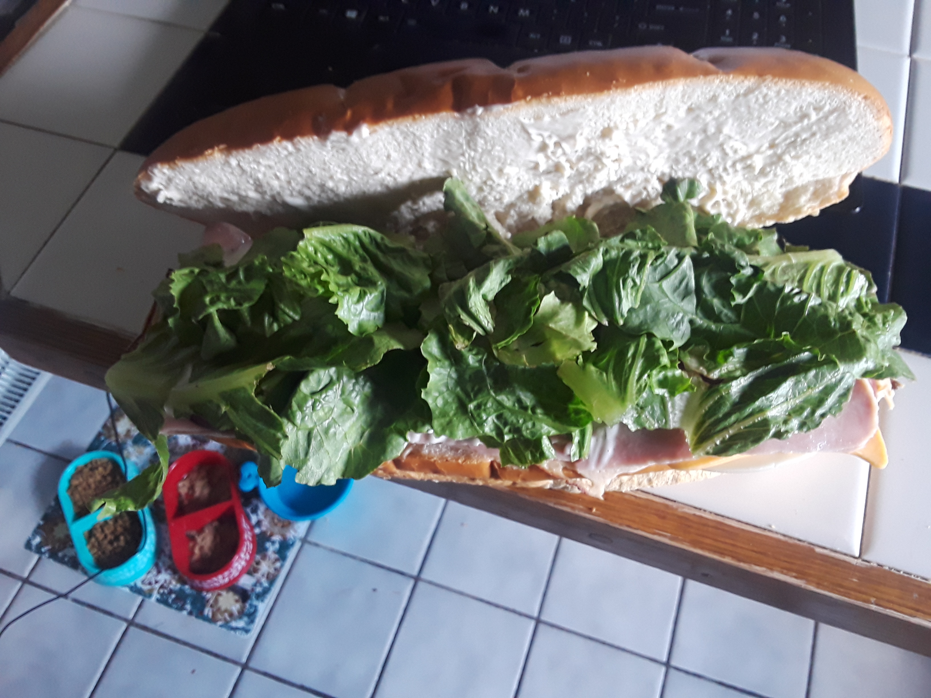 20170720_131351.jpg