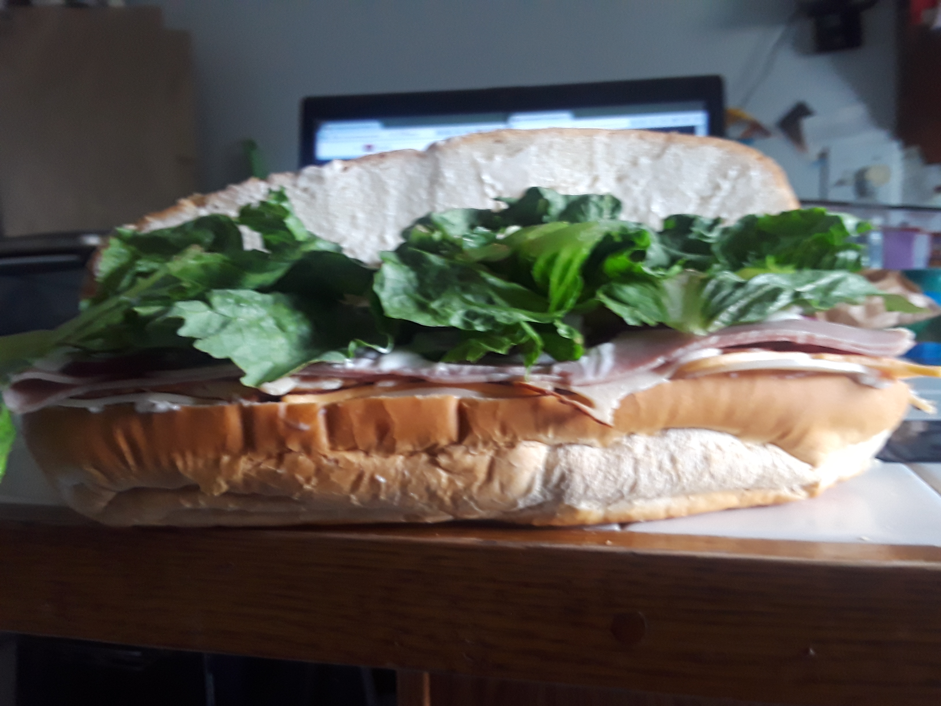 20170720_131401.jpg