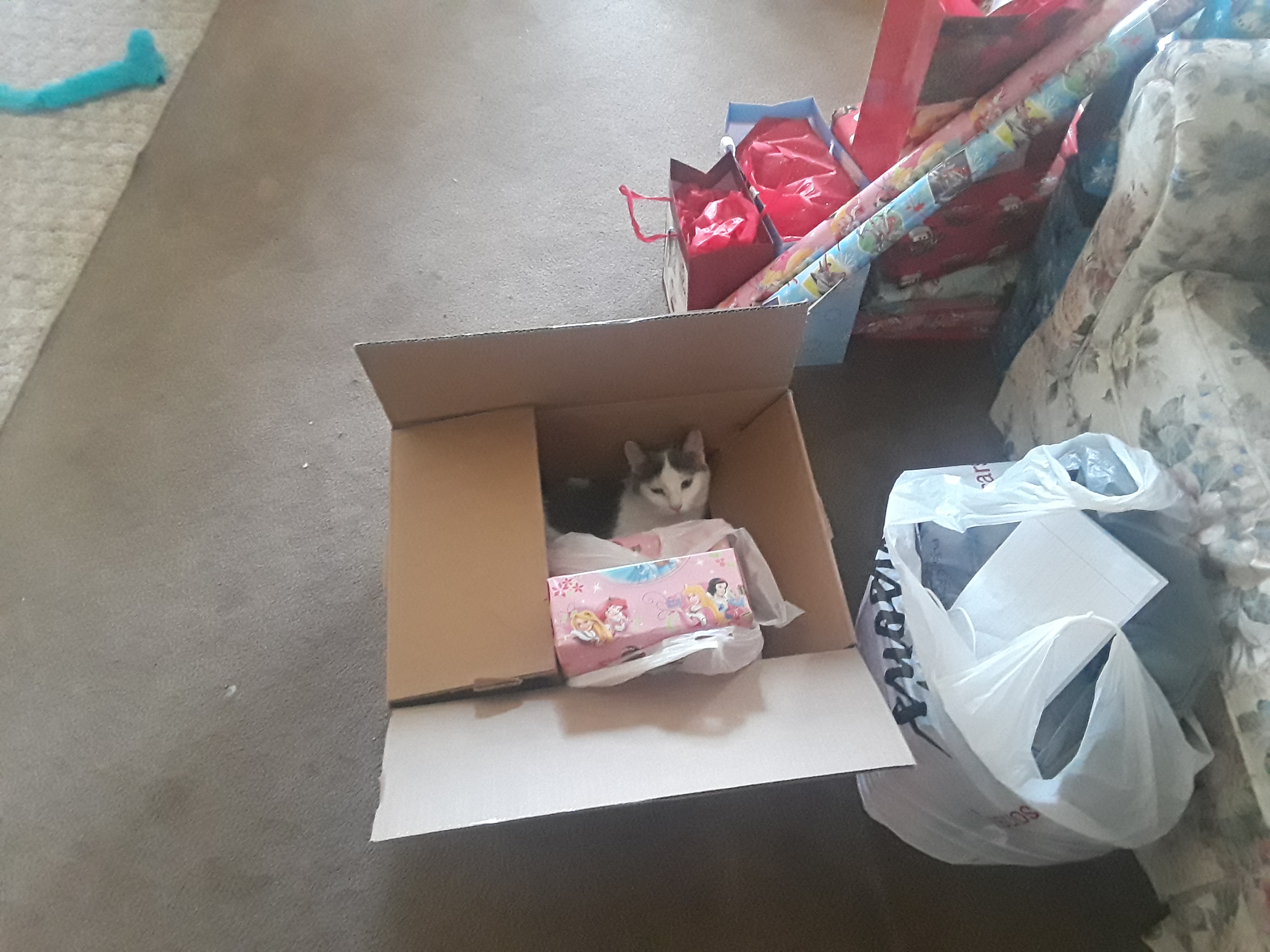 20171223_140651.jpg