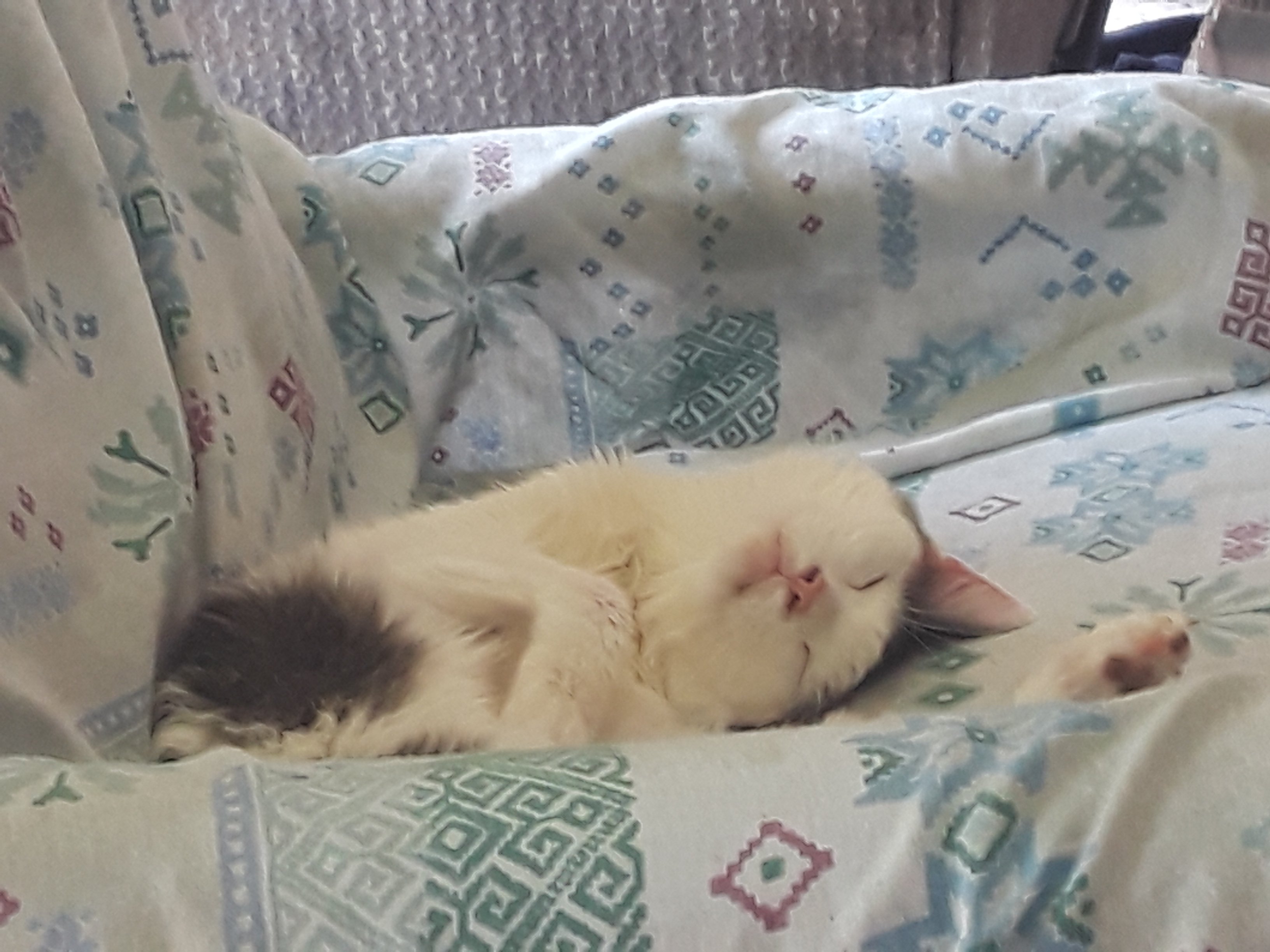 20190727_102520.jpg