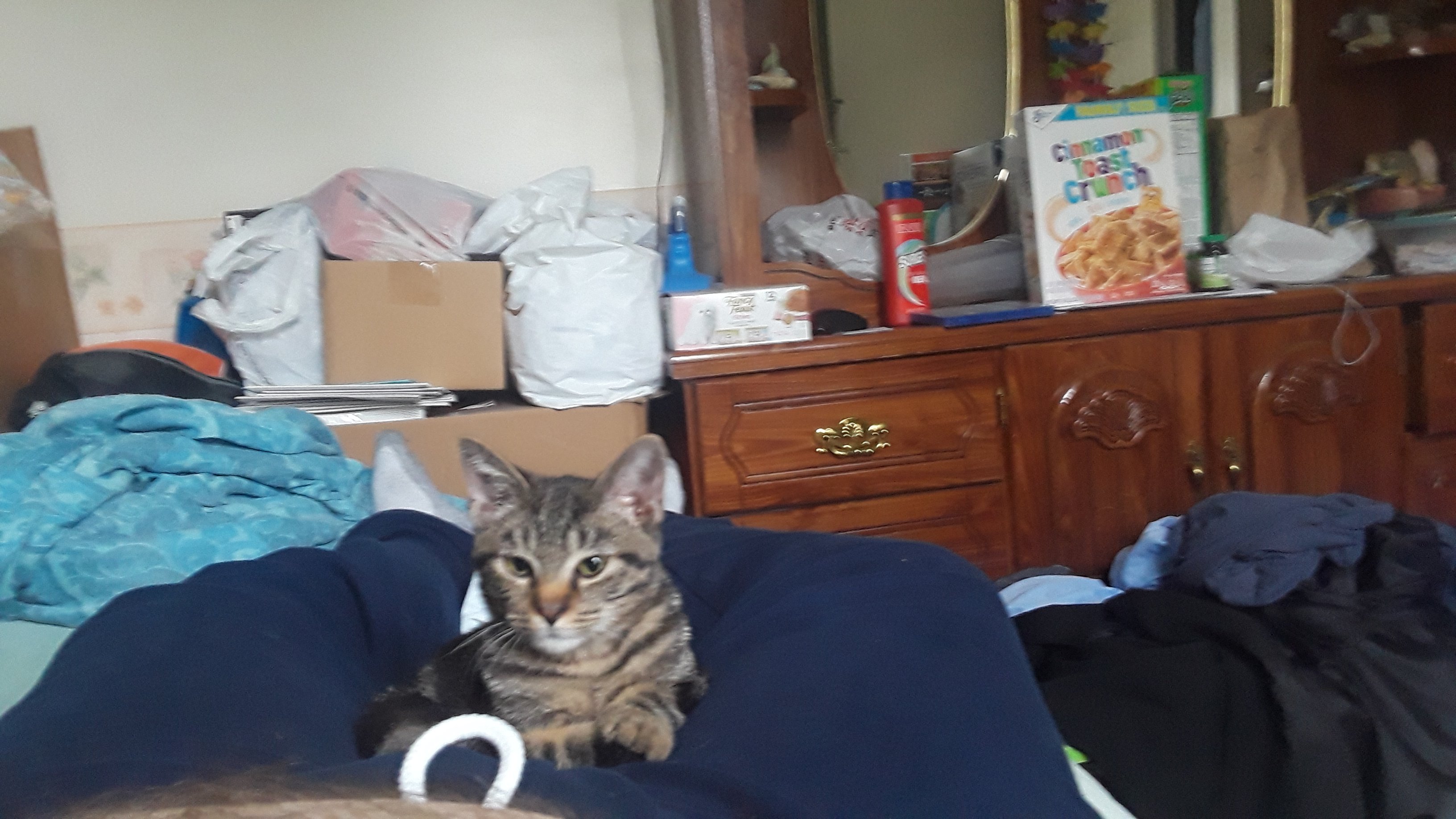 20190928_133807.jpg