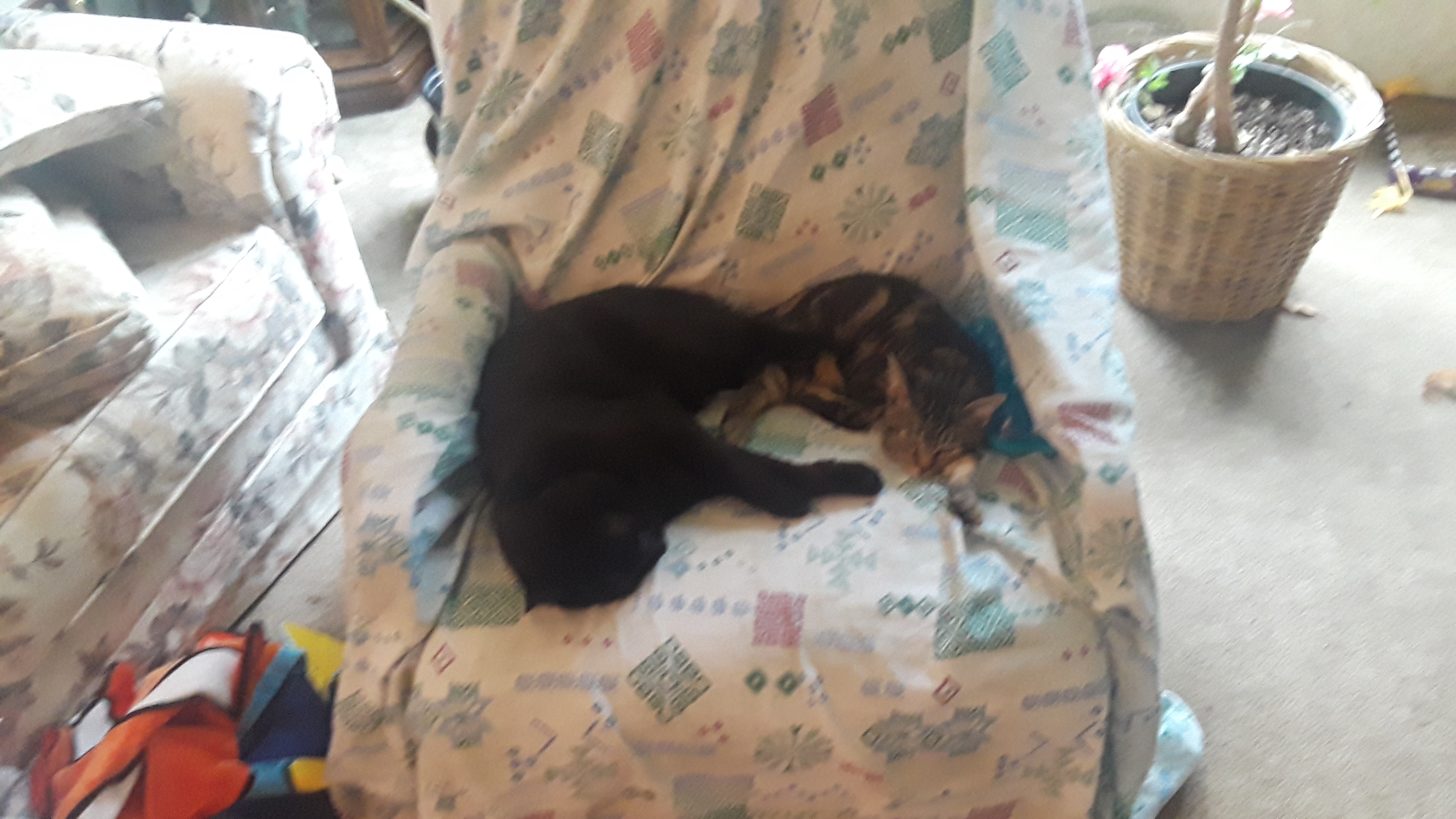 20190929_125103.jpg