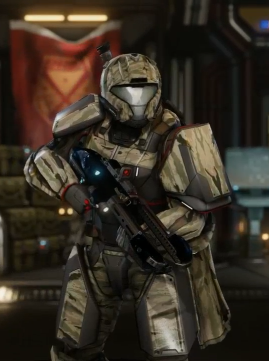 Beige Camo.PNG