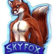 SkyFox